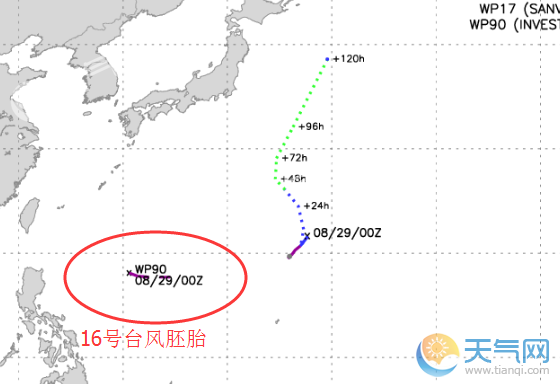 台风预报最新动态，如何应对即将到来的台风季节攻略