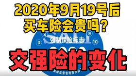 车险最新优惠攻略，如何把握机会降低保险成本