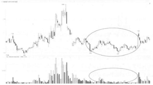 新日恒力最新公告深度解读与分析