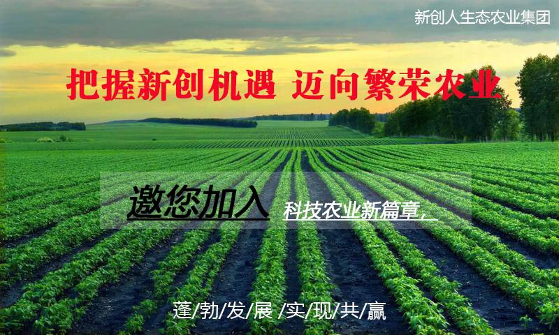 科技引领农业创新，智能农业蓬勃发展最新新闻动态