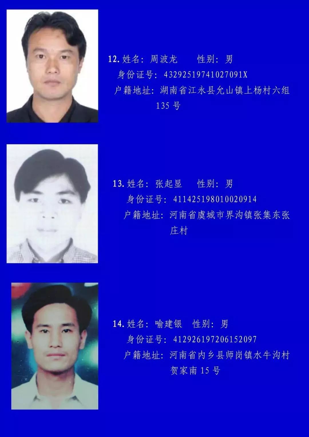 遂溪最新通缉名单，社会安全警钟再次敲响之际的警示信号