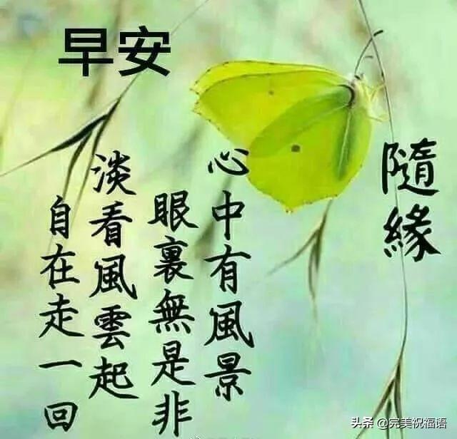 清晨温馨祝福短信，唤醒美好，传递温暖之心语