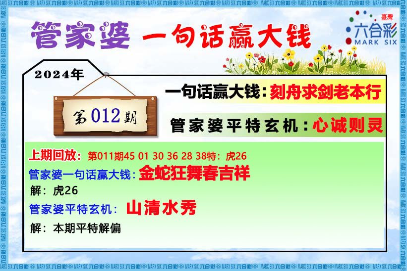 2o24年管家婆一肖中特,专业说明解析_超值版82.647