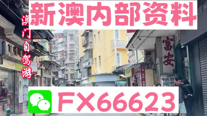 新澳精准资料免费提供最新版,可持续执行探索_MR81.372