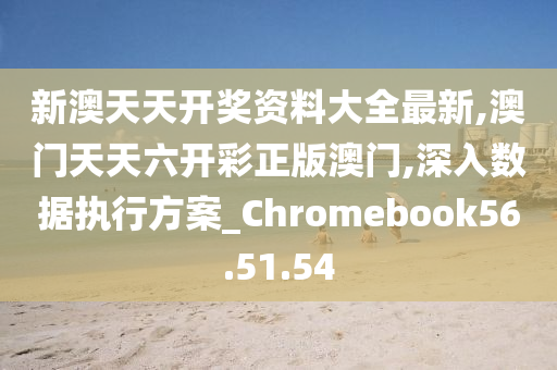 20024新澳天天开好彩大全160期,定制化执行方案分析_HarmonyOS18.621