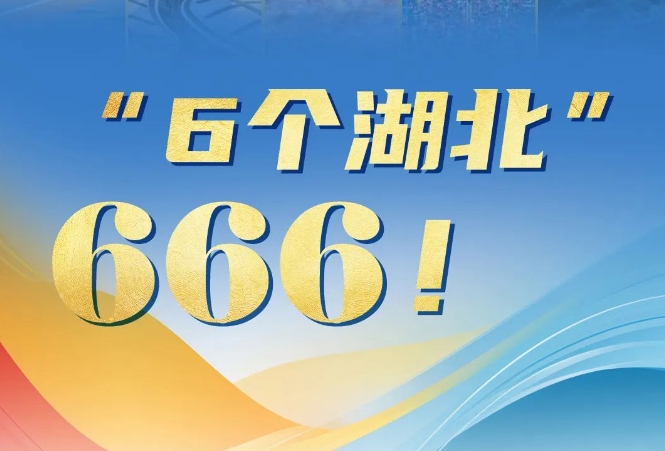 2024澳门天天彩资料大全,安全设计解析_Elite64.666