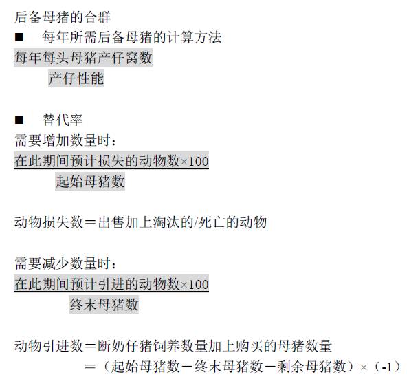 新澳门最精准资料大全,实地数据验证计划_R版32.127