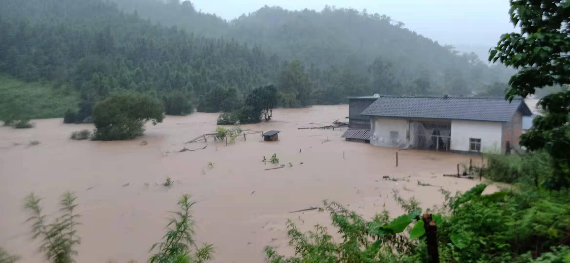 云南暴雨最新动态，影响及应对策略