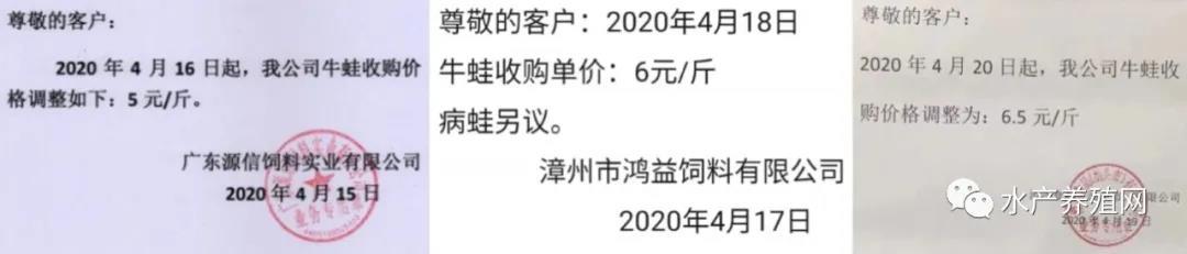 最新水产价格行情解析