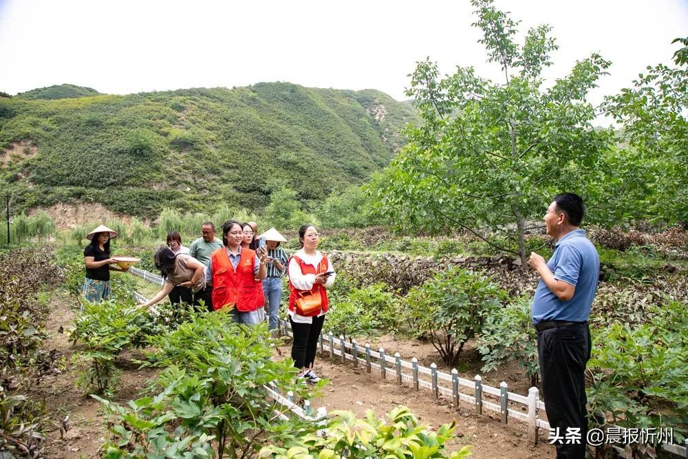 龙门最快最精准免费资料,市场趋势方案实施_定制版29.20