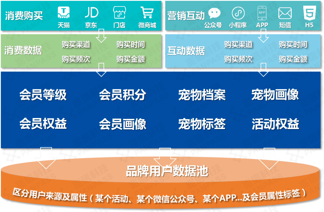 澳门管家婆一码一肖,适用解析计划方案_高级版82.239