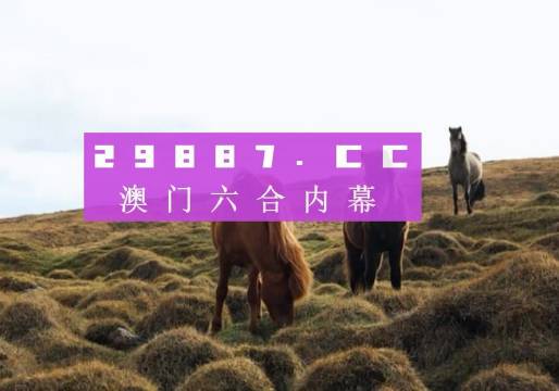 旧澳门开奖结果+开奖记录,实地验证分析_The77.593