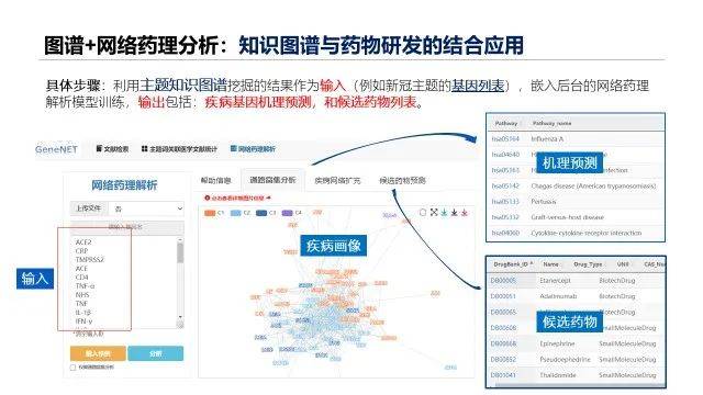 新澳内部资料免费精准37b,稳定性操作方案分析_领航款77.210