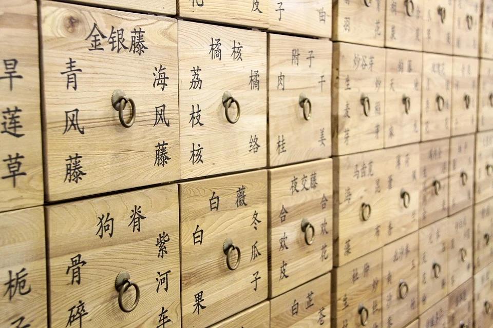 中医师承最新政策，传承与发展路径探索