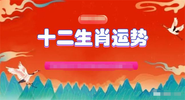 2024年一肖一码一中一特,实地解析说明_标准版87.743