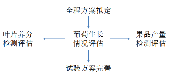 2024香港全年资料大全,可行性方案评估_nShop66.111