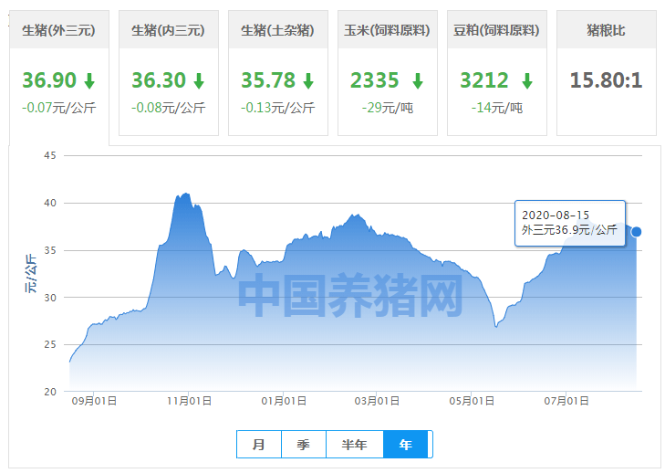 新澳资彩长期免费资料港传真,整体规划执行讲解_UHD款24.654