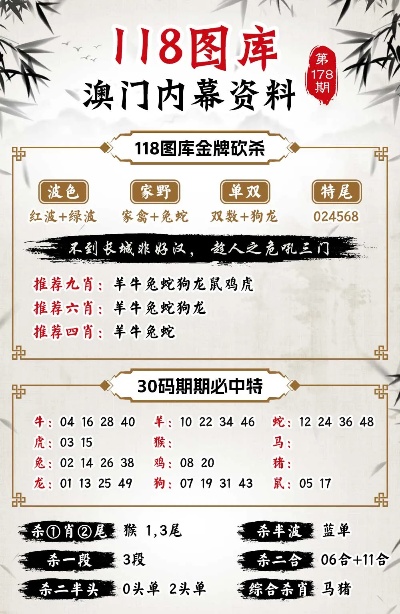 2024年新澳门王中王免费,专业解析说明_创意版13.618