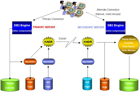 2024新澳免费资料大全精准版,数据驱动执行设计_策略版81.284