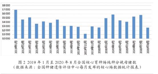 澳门管家婆,科学化方案实施探讨_XE版64.874