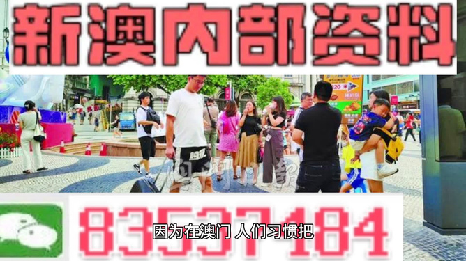 2024新澳精准资料免费提供,澳门内部,最新正品解答落实_标准版90.65.32