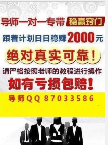 2024年正版免费天天开彩,数据资料解释落实_优选版2.332