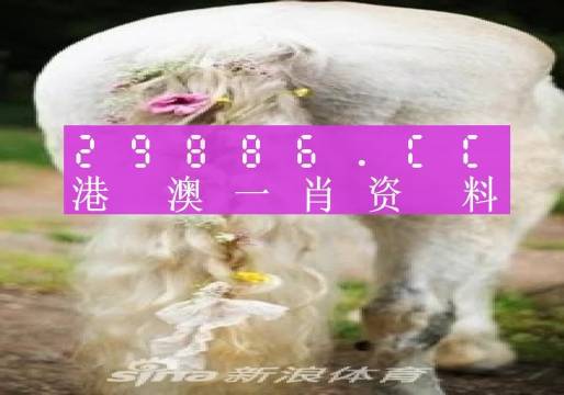 今晚必中一肖一码四不像,数据资料解释定义_钱包版74.446