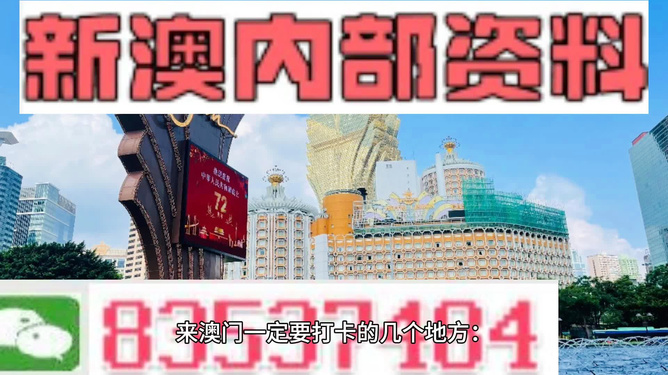 新澳精选资料免费提供,深入研究解释定义_复刻版34.451