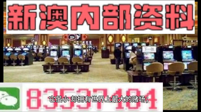 2024新澳精准资料免费提供,澳门内部,正确解答落实_The90.321