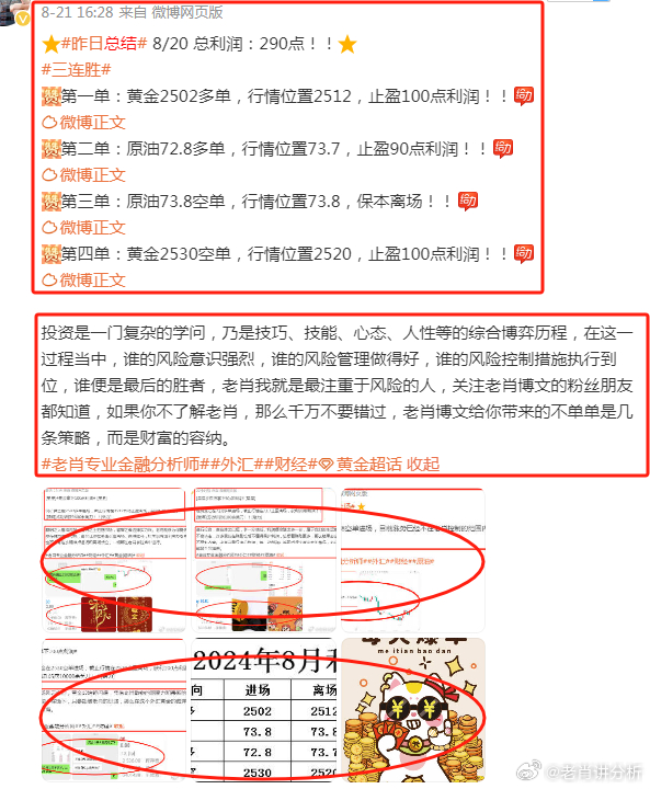 2023管家婆资料正版大全澳门,现状解析说明_yShop81.958