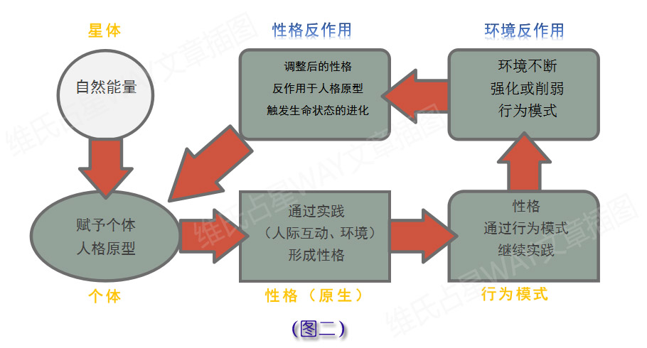 新澳精准资料免费提供网站,完善的执行机制解析_旗舰版3.639