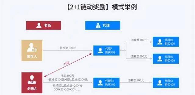 白小姐一肖一码准确一肖,创造力策略实施推广_精英版201.123