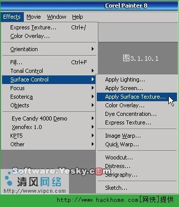 管家婆2024正版资料大全,动态调整策略执行_Surface10.353