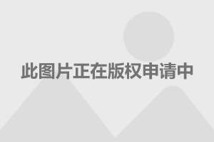 徐汇区初中创新项目，培育未来领袖，引领教育新篇章