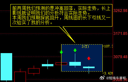 一肖一码一一肖一子深圳,实践分析解析说明_YE版56.453