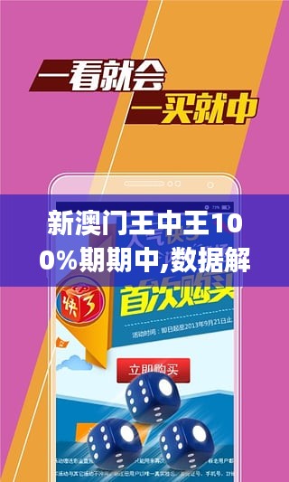 澳门王中王100%期期中,数据设计驱动解析_安卓款48.34