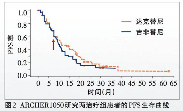 香港最精准的免费资料,数据决策分析驱动_战略版49.292