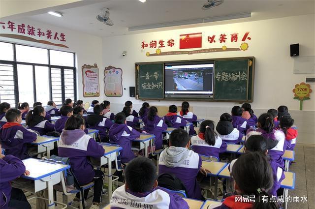 临澧县小学最新动态报道