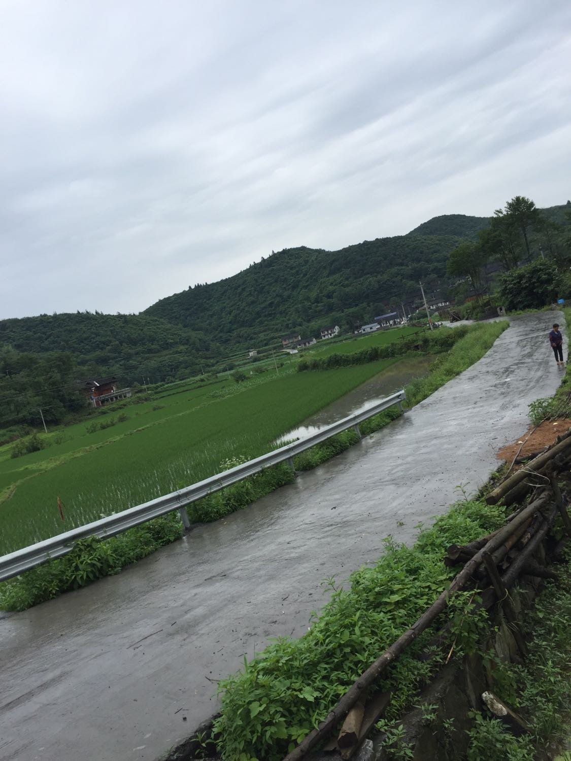 肖家坝村委会天气预报更新通知