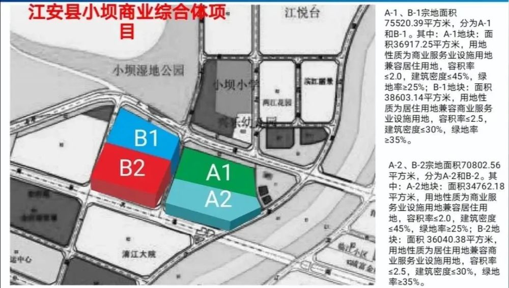 昭阳区数据和政务服务局最新发展规划深度探讨