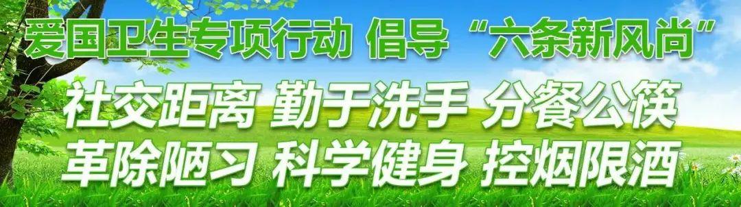 河口区审计局最新项目深度研究分析报告