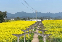 丹竹镇天气预报更新通知