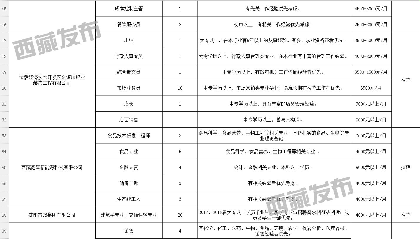 喀什市数据和政务服务局最新招聘资讯概览