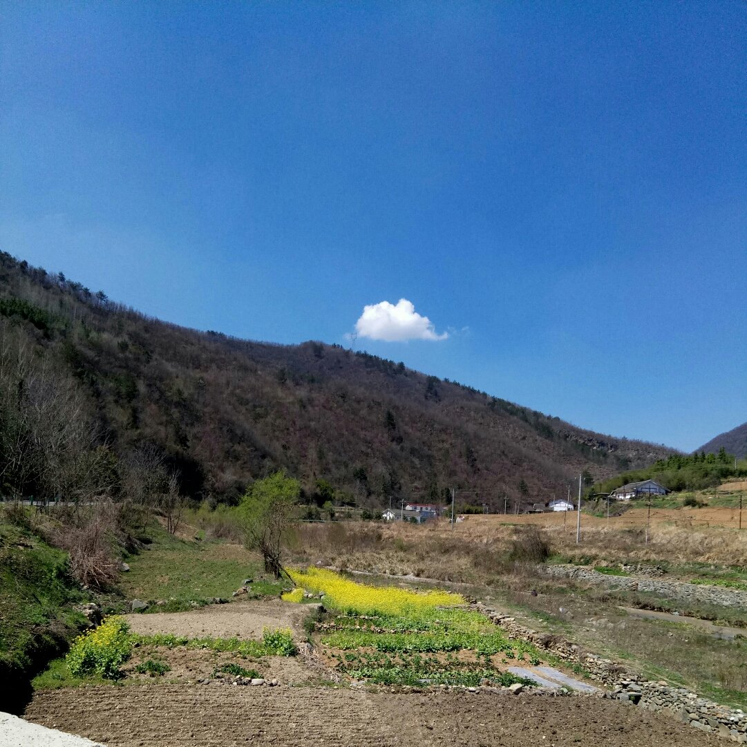 门土村天气预报更新通知