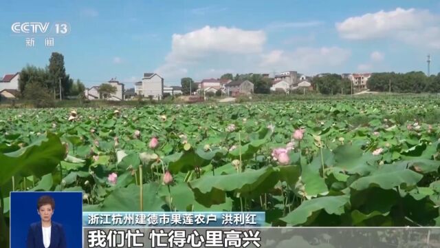 紫蓬镇最新天气预报通知