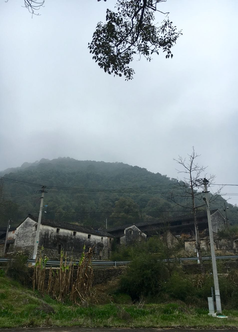 群峰村天气预报更新通知