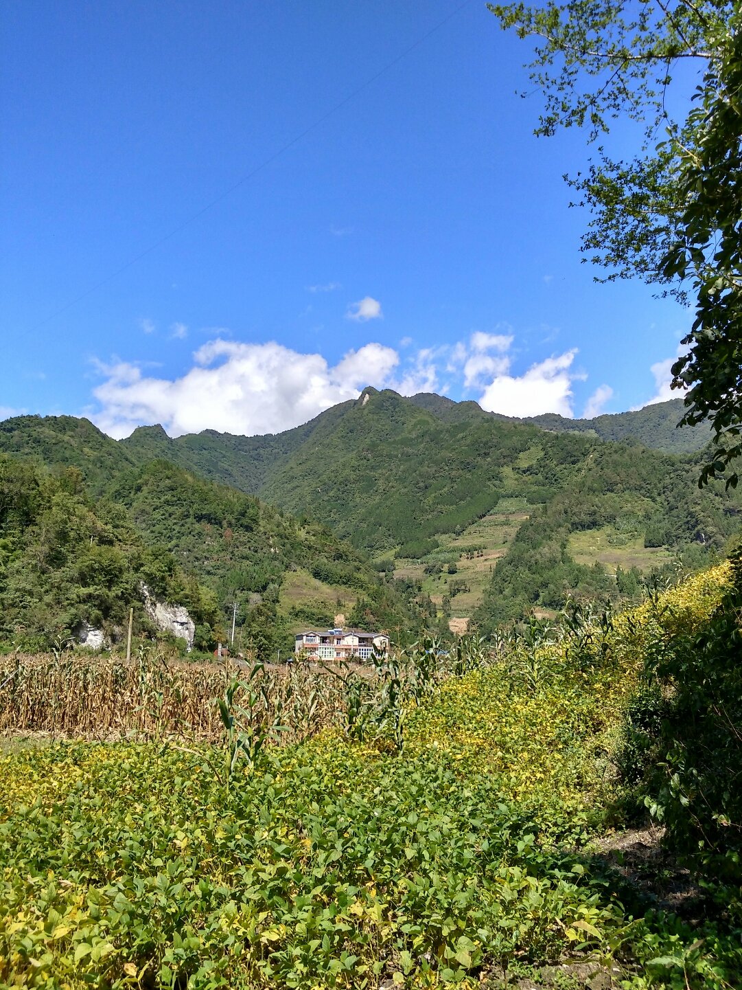 峡门乡天气预报更新通知