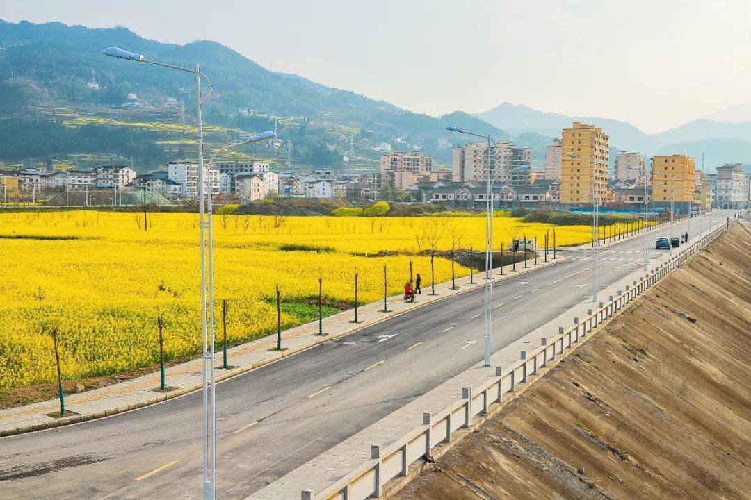 羊木镇社区天气预报更新通知