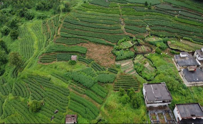 寨子沟村民委员会天气预报最新分析与解读