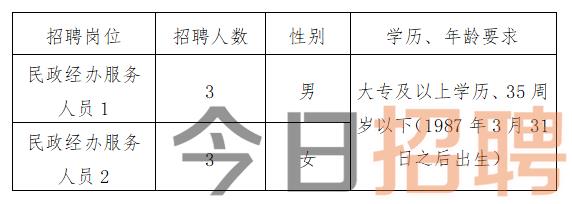 大武口区统计局最新招聘公告全面解析